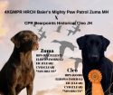 4XGMPR HRCH Baier's Mighty Paw Patrol Zuma MH x CPR Bearpoints Historical Cleo JH