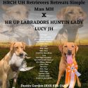 HR Up Labrador Huntin Lady Lucy JH x GRHRCH UH Retrievers Retreats Simple Man MH