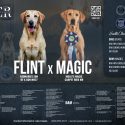 Thumbnail for the listing's main image