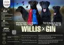 Willis QAA x Gin SH