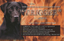 GRHRCH (5) 2xSRSC PUNCH’s CLICK CLICK BOOM HOF MH MNH6 x HRCH 3 FROGS CAJUN RAYNE SH